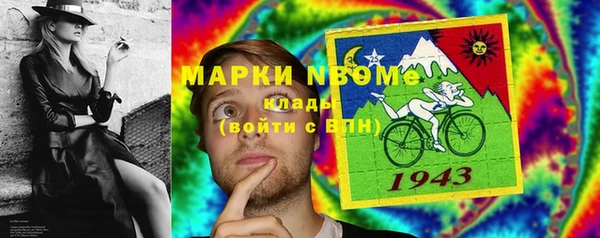 прущие грибы Богородицк